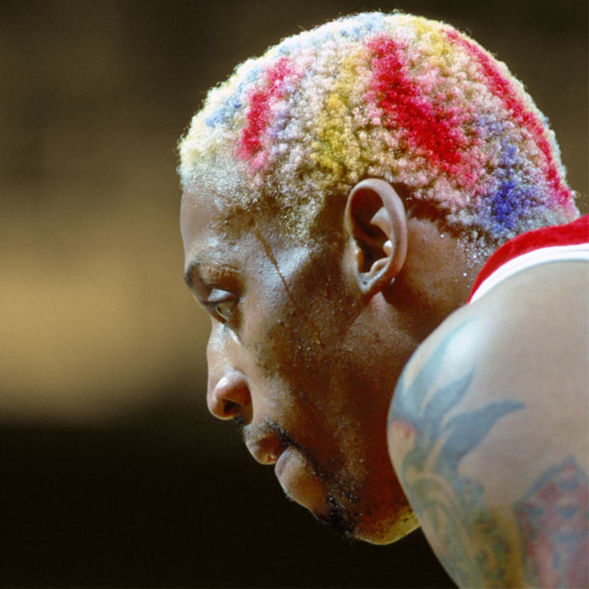 HallofFame: Dennis Rodman's hair.